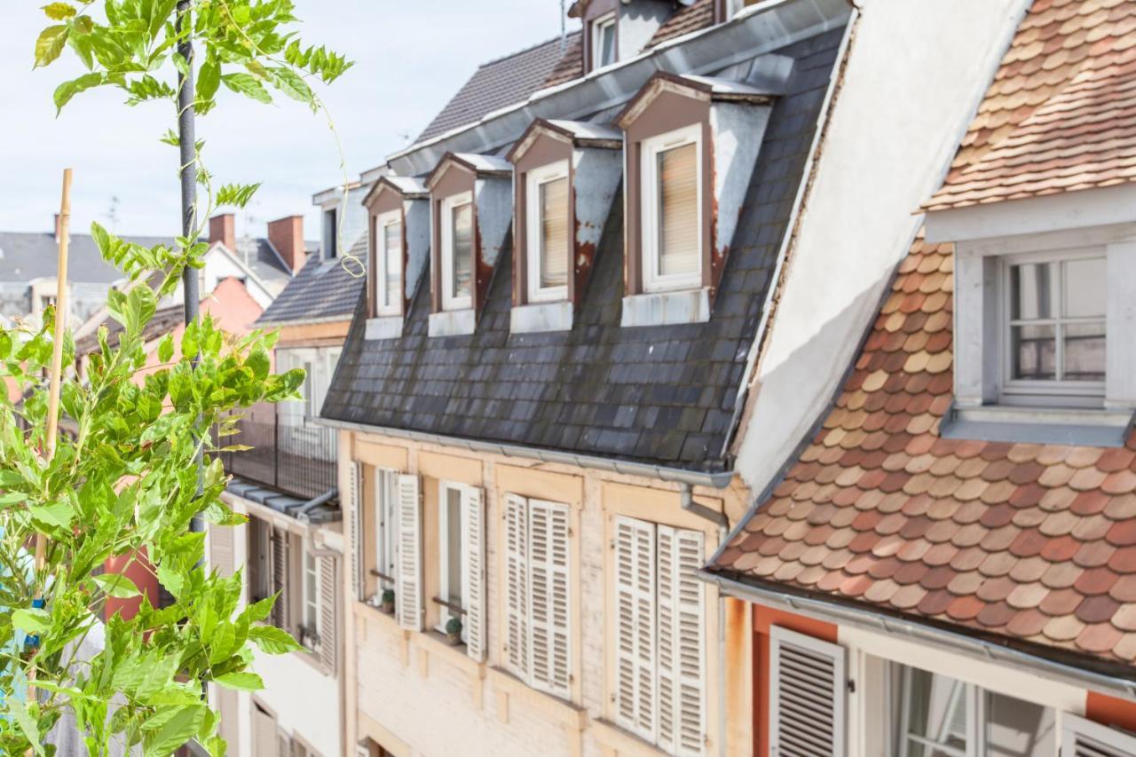 L'Appart Du Quai Avec Terrasse Страсбург Екстер'єр фото